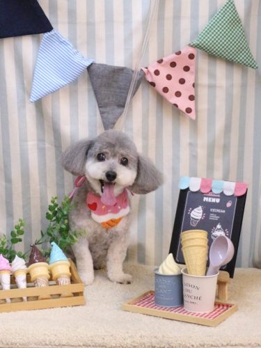 20250510チップちゃん